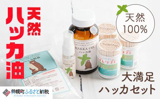 大満足ハッカセット【ハッカ油200ml+ハッカ油20mlスプレー+ハッカ結晶+ハッカ楊枝×3個】【配送不可地域：離島】 天然ハッカ油 詰め合わせ 虫よけ 暑さ対策 消臭